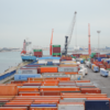 ميناء رادس: إتلاف حاويتين حاملتين لمواد استهلاكية متعفنة
