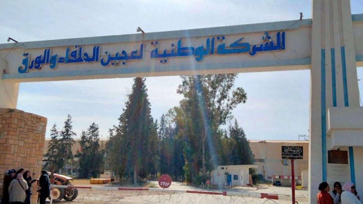 7alfa تسمية سامية بريكي رئيسة مديرة عامة للشركة الوطنية لعجين الحلفاء