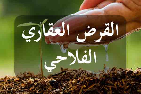 Orientini.com pret agri Apia 2019 ضبط الحدود القصوى للقرض العقاري الفلاحي