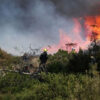 سليانة: السيطرة على حريق نشب بجبل برقو بمنطقة عين بوسعدية