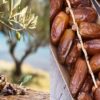ONAGRI : hausse considérable des recettes des exportations de l’huile d’olive et des dattes