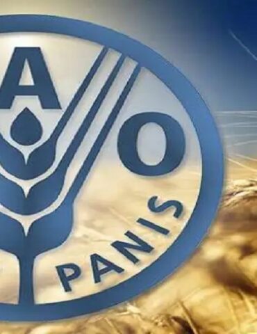 fao الفاو: ارتفاع مؤشر أسعار السلع الغذائية مقابل تراجع أسعار الحبوب والسكر