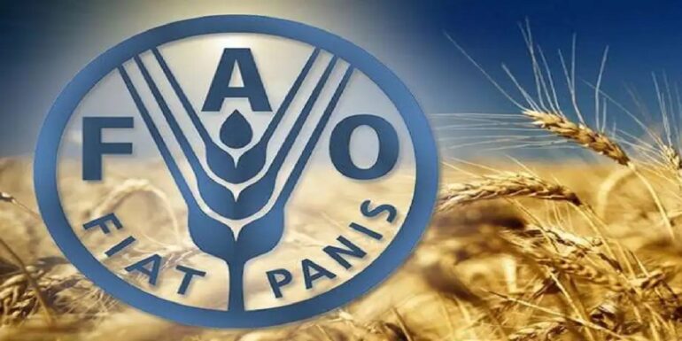 fao الفاو: ارتفاع مؤشر أسعار السلع الغذائية مقابل تراجع أسعار الحبوب والسكر