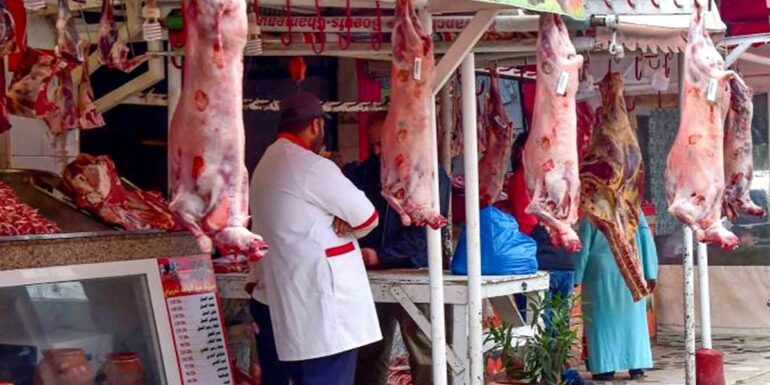 VIANDE أسعار اللّحوم الحمراء تواصل تسجيل ارتفاع قياسي