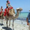قريبا..اصدار “منصة سياحية” بأسعار تفاضلية لفائدة السائح التونسي