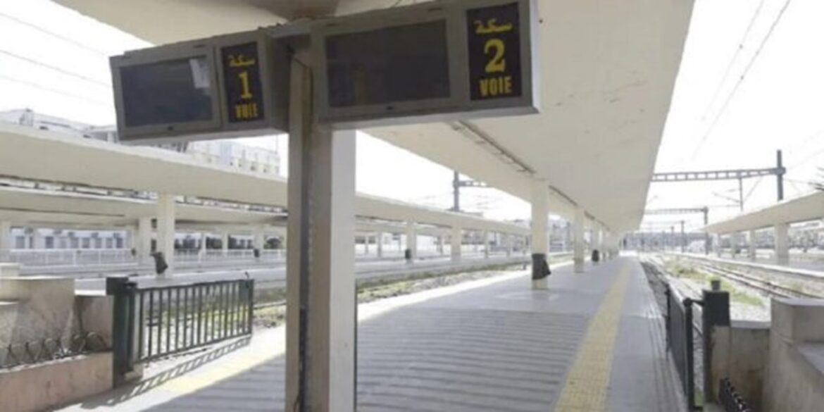 train إلغاء عدد من السفرات على خطي أحواز تونس الجنوبية والغربية