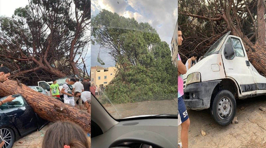 1723982476055 اسعاف 10 مصابين بعد سقوط جدار نزل بالحمامات وازاحة أشجار وأعمدة كهربائية من الطرقات