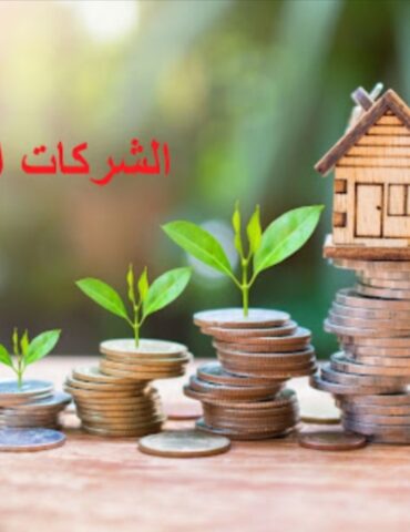 1725030853258 خط تمويل بقيمة 40 مليون دينار لفائدة الشركات الأهلية