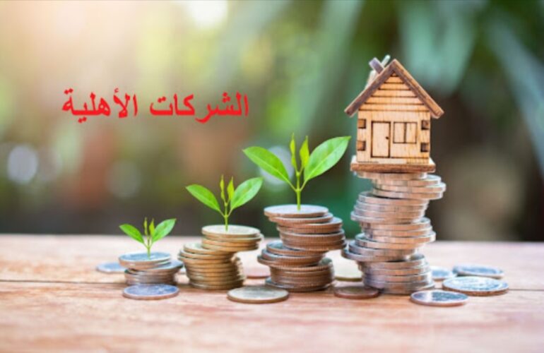 1725030853258 خط تمويل بقيمة 40 مليون دينار لفائدة الشركات الأهلية