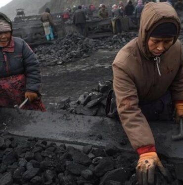 Charbon Chine Sept morts dans une mine de charbon au sud-ouest de la Chine