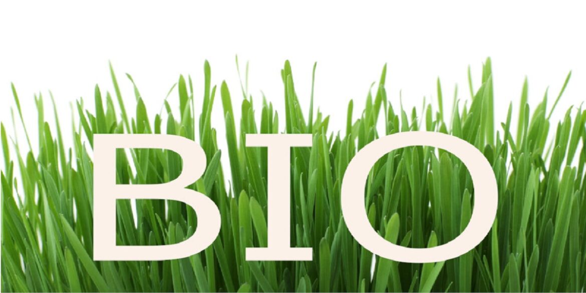 bio عائدات صادرات المنتوجات البيولوجية ارتفعت بـ 14.4 %