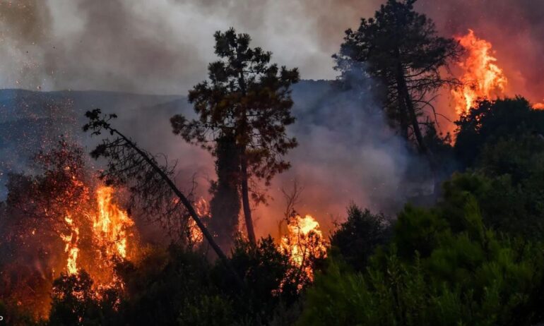 feux de foret3 جندوبة: اندلاع حريق ببني مطير ومخاوف من توسعه نحو المساكن ومولد كهربائي ضخم