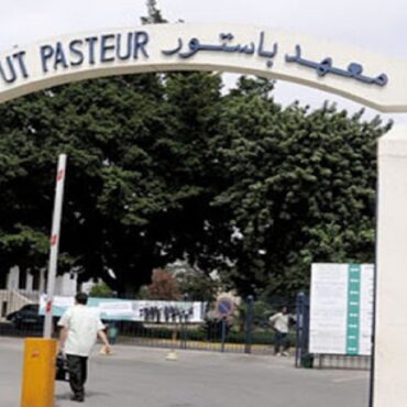 pasteur النجاح في استخراج جزيئات اصطناعية من سم الأفعى بديلا جديدا لعلاج الجلطات القلبية