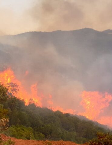 fire السيطرة على حريق غابة جبل عين بلوين بباجة الشمالية