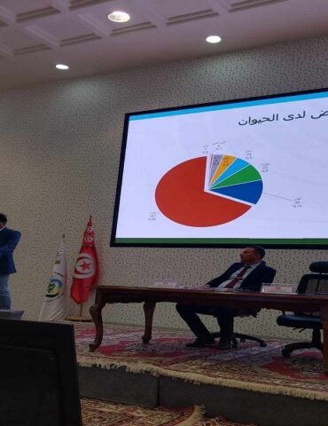 fle7a وزارة الفلاحة: ارتفاع عدد بؤر داء الكلب في تونس إلى 277