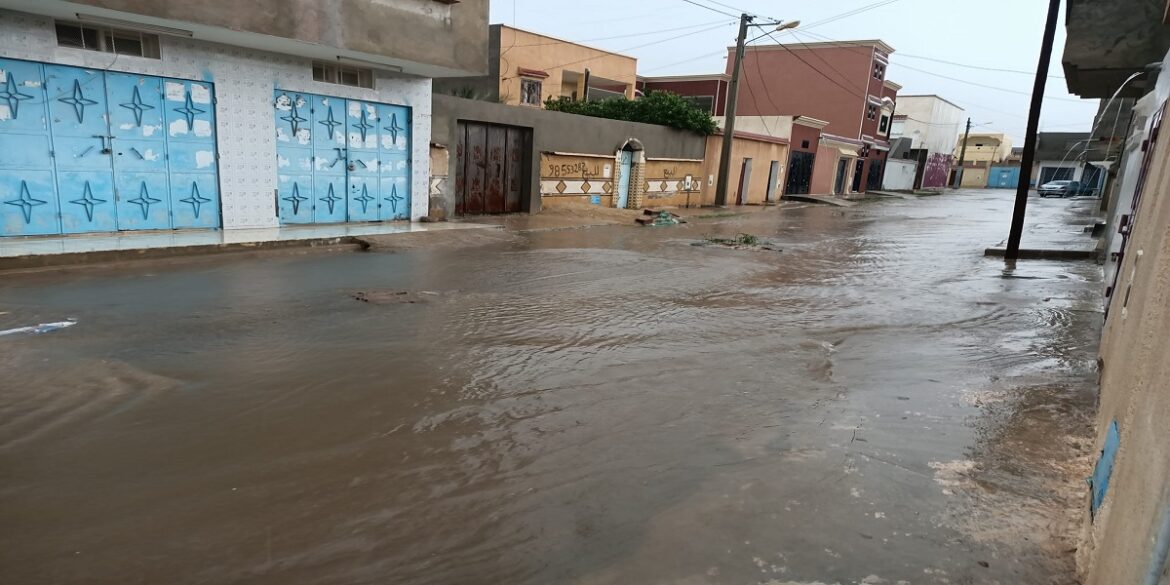 kasserine القصرين : نفوق عدد من رؤوس الأغنام وتسرب المياه لبعض المنازل جراء فيضان وادي العصافير