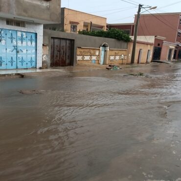 kasserine القصرين : نفوق عدد من رؤوس الأغنام وتسرب المياه لبعض المنازل جراء فيضان وادي العصافير