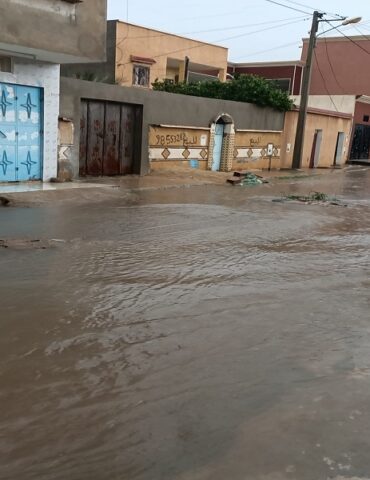 kasserine القصرين : نفوق عدد من رؤوس الأغنام وتسرب المياه لبعض المنازل جراء فيضان وادي العصافير