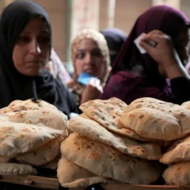 1728050046487 مصر: خطة لخفض الإنفاق على الخبز المدعم عبر إضافة الذرة