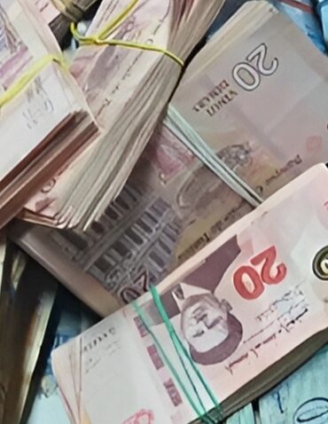 1729103430729 مشروع قانون المالية 2025: خط تمويل بـ10 ملايين دينار لفائدة هذه المشاريع