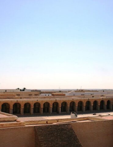 masjed حث الإطارات المسجدية على نشر الوعي لدى رواد المساجد بخطورة داء الكلب