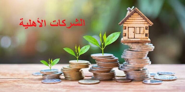 societe1 مدير عام بنك التضامن: البنك وفّر التمويل لفائدة 32 شركة أهلية بالشراكة مع وزارة التشغيل