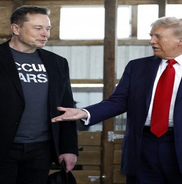 Elon Musk Donald Trump Elon Musk nommé ministre de "l'efficacité gouvernementale" de Donald Trump