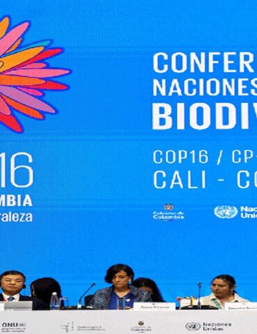 cop16 مؤتمر التنوع البيولوجي بكولومبيا ينتهي دون التوصل إلى اتفاق تمويل..