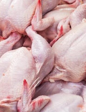 poulet حجز طن من لحوم الدواجن غير صالحة للاستهلاك