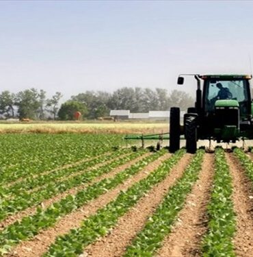 agriculture tunisie Les 11 nouvelles mesures au profit des agriculteurs qui entreront en vigueur le 1er janvier 2025