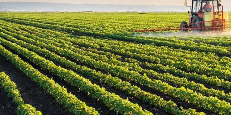 investissements agricoles Les investissements agricoles privés approuvés chutent de 12,8%