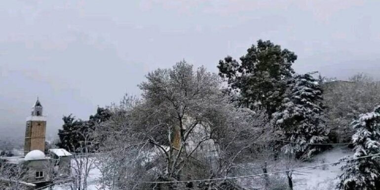 jandouba جندوبة: فيضان وادي يتسبب في قطع الطريق.. وثلوج تغطي المرتفعات