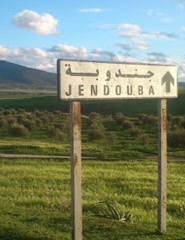 jendouba 1 جندوبة: انتعاشة لافتة في المؤشرات السياحية مع تزايد الوافدين عبر المعابر الحدودية البرية