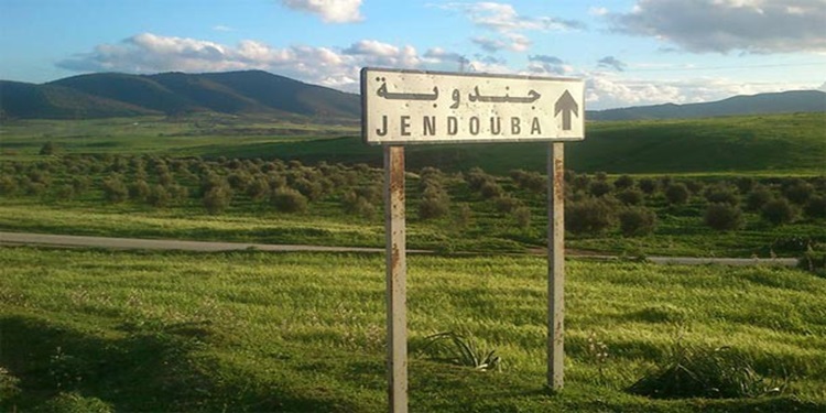 jendouba 2 Jendouba : 400 MD d’intentions d'investissement dans le secteur touristique