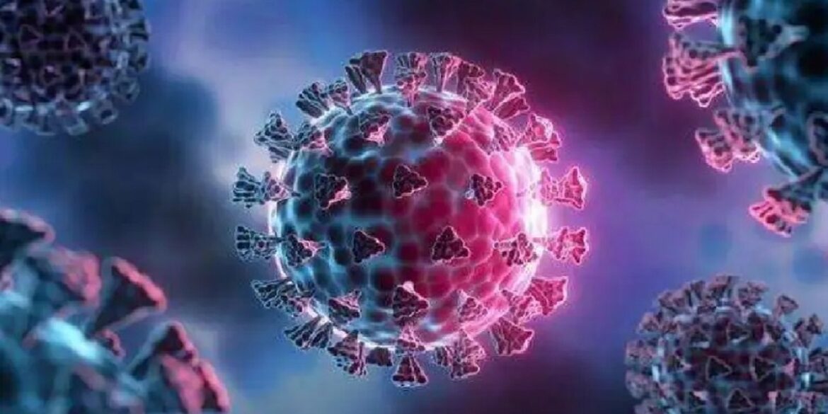 virus محجوب العوني: المتحور "إكس إي سي" سريع الإنتشار لكنه قليل الخطورة