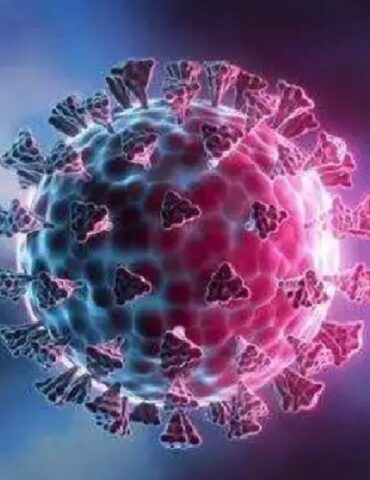 virus محجوب العوني: المتحور "إكس إي سي" سريع الإنتشار لكنه قليل الخطورة