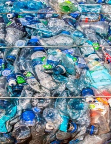 PLASTIC إجراءات جديدة تهمّ قطاع البلاستيك في تونس