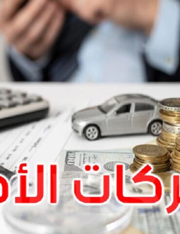 ahliya قفصة: فرع البنك التونسي للتضامن يوافق على تمويل 5 شركات أهلية