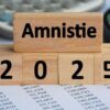 Tout ce qu’il faut savoir sur l’amnistie douanière 2025