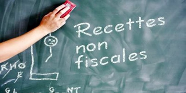 recettes non fiscales Série de mesures pour la mobilisation des recettes non fiscales de l'Etat