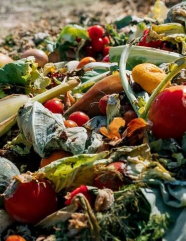 alimentaires الإستراتيجية الوطنية للحد من التبذير الغذائي سترى النور خلال شهر سبتمبر 2025