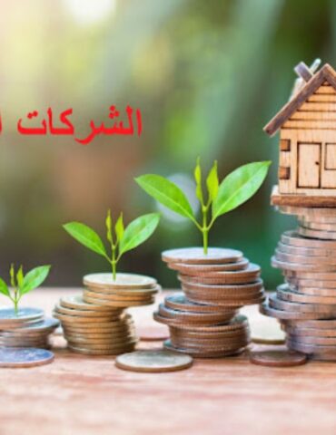 1741178365163 سنة 2024..المصادقة على استثمارات لفائدة الشركات الأهلية بقيمة 5.6 مليون دينار