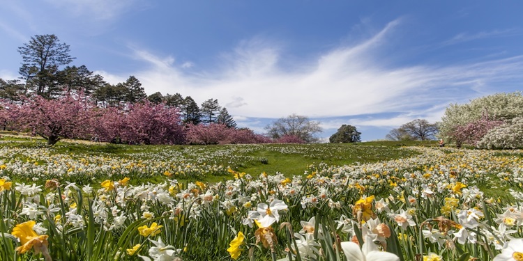 équinoxe de printemps