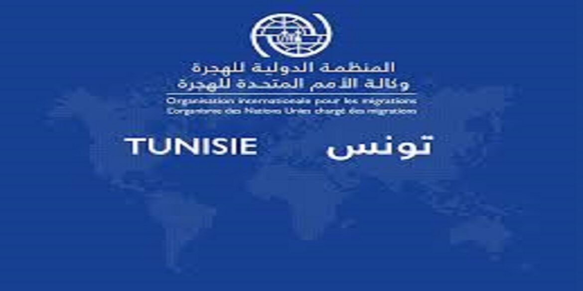 oim.tttt المنظمة الدولية للهجرة بتونس تساعد 313 مهاجرا من غامبيا وغينيا على العودة الطوعية لبلدانهم