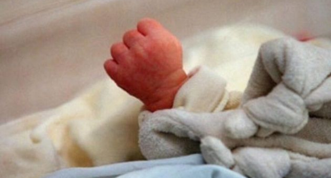 1744281353787 قضية "الرضع".. نقابات الصحة تعلن عن يوم غضب والإضراب العام