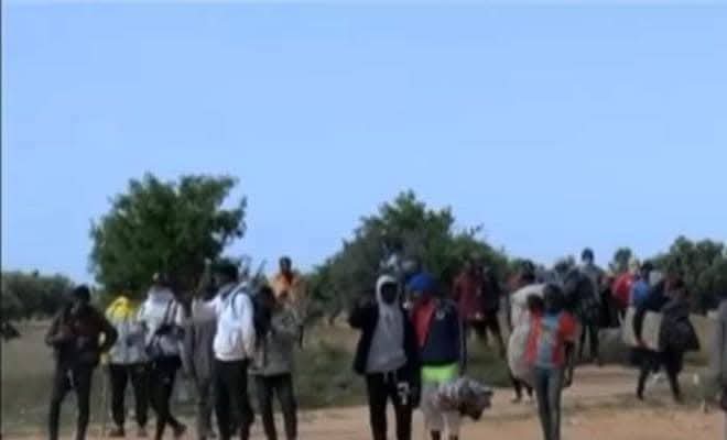 FB IMG 1743924562394 حملة ليلية مكثفة لاخلاء المخيمات بمعتمديتي العامرة وجبنياتة
