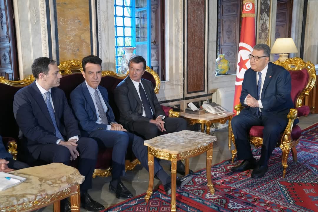 FB IMG 1745857491425 عضوان بالبرلمان الأوروبي: "ضرورة مواصلة العمل المشترك مع تونس لمكافحة الهجرة غير النظامية"