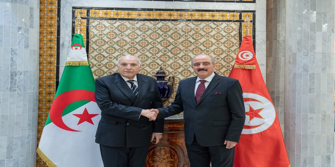 alger أبرز ما جاء في لقاء وزير الخارجية ونظيره الجزائري..