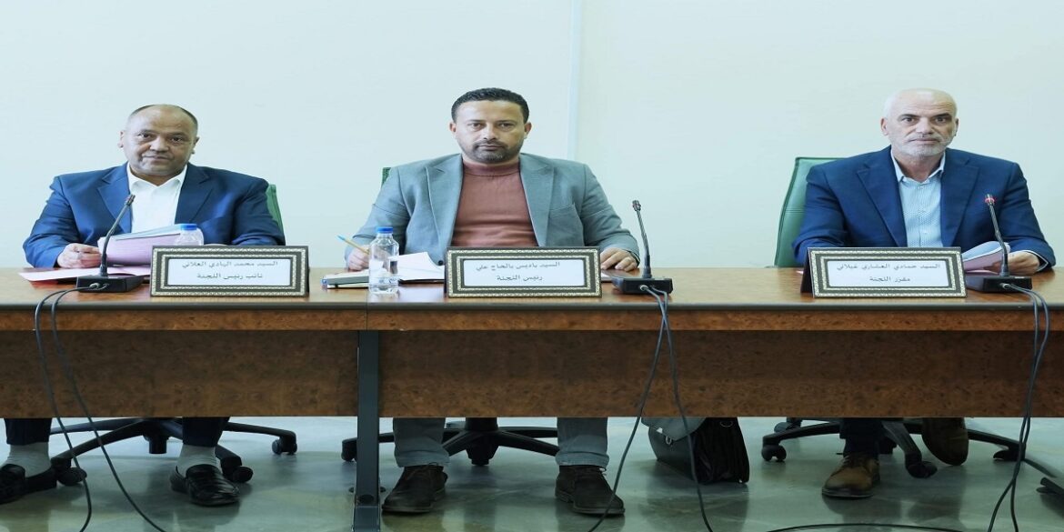 lajna لجنة السياحة والثقافة تصادق على تقريرها حول مقترح القانون المتعلّق بالفنان والمهن الفنية