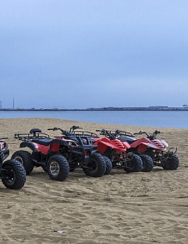 pngtree beach عقوبات لكل من يمارس الأنشطة الميكانيكيةبالشواطئ والكثبان الرملية الساحلية